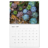 Calendrier Succulent (Mar 2027)
