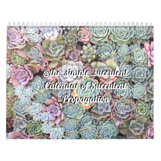 Calendrier succulent coloré de propagation (Protection)