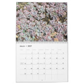 Calendrier succulent coloré de propagation (Mar 2027)