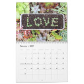 Calendrier succulent coloré de propagation (Feb 2027)