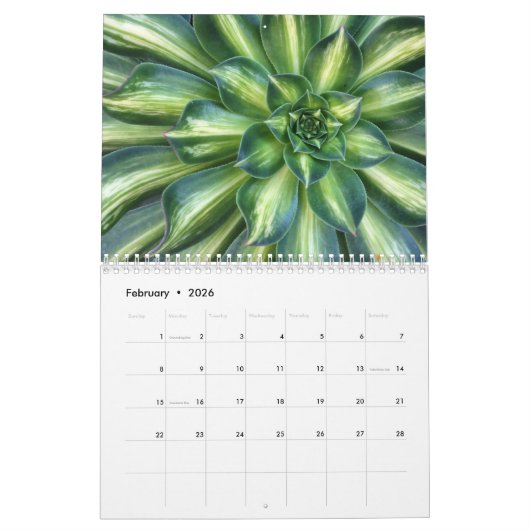 Calendrier Succulents avec spirales Fibonacci (Feb 2026)
