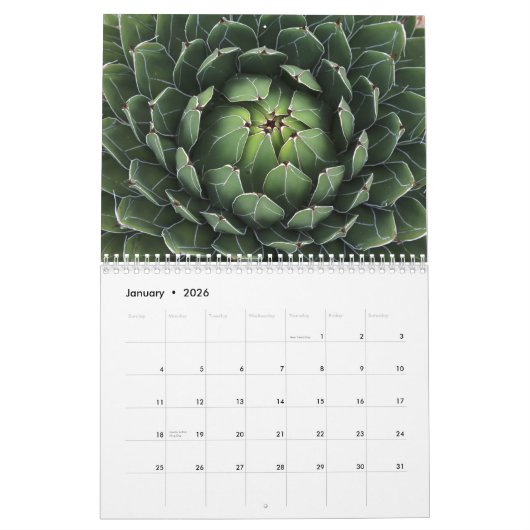 Calendrier Succulents avec spirales Fibonacci (Jan 2026)