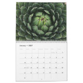 Calendrier Succulents avec spirales Fibonacci (Jan 2027)