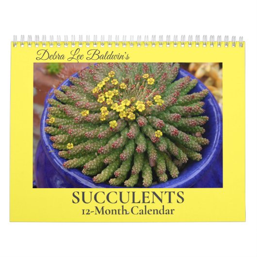 Calendrier Succulents de Debra Lee Baldwin-2 12 mois (Protection)