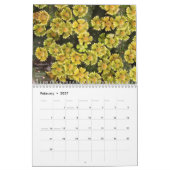 Calendrier Succulents de Debra Lee Baldwin-2 12 mois (Feb 2027)
