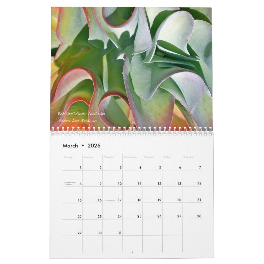 Calendrier Succulents de Debra Lee Baldwin-2 12 mois (Mar 2026)