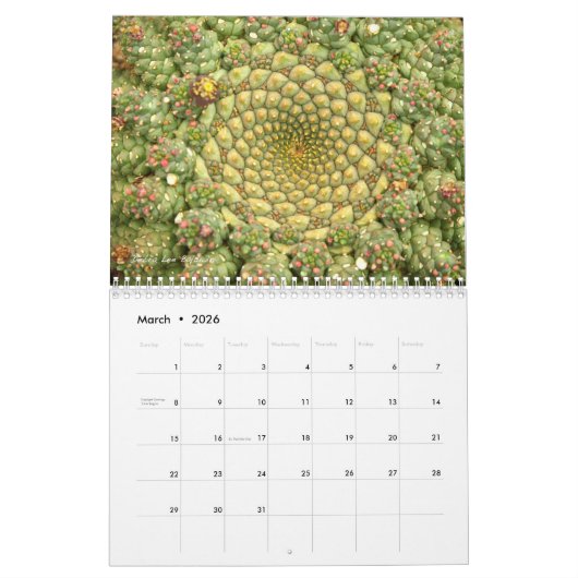 Calendrier Succulents par Debra Lee Baldwin #4 (Mar 2026)