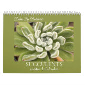 Calendrier Succulents par Debra Lee Baldwin #4 (Protection)