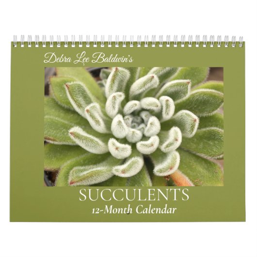 Calendrier Succulents par Debra Lee Baldwin #4 (Protection)