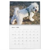 Calendrier Sucrerie de coton (Mar 2026)