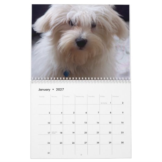 Calendrier Sucrerie de coton (Jan 2027)