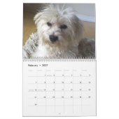 Calendrier Sucrerie de coton (Feb 2027)