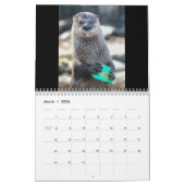 Calendrier Sucrez la loutre (Mar 2026)