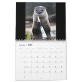 Calendrier Sucrez la loutre (Jan 2027)