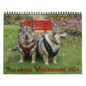 Calendrier suédois Vallhund (Protection)