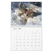 Calendrier suédois Vallhund 2020 (Jan 2027)