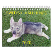 Calendrier suédois Vallhund 2020 (Protection)