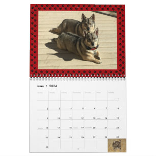 Calendrier suédois Vallhund 2024*