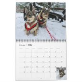 Calendrier suédois Vallhund 2024* (Jan 2026)