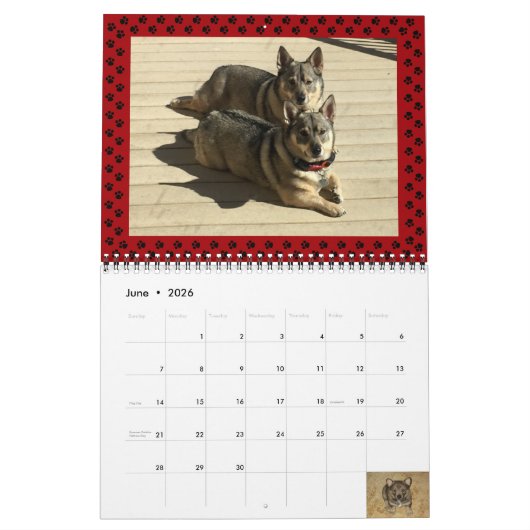 Calendrier suédois Vallhund 2024* (Jun 2026)