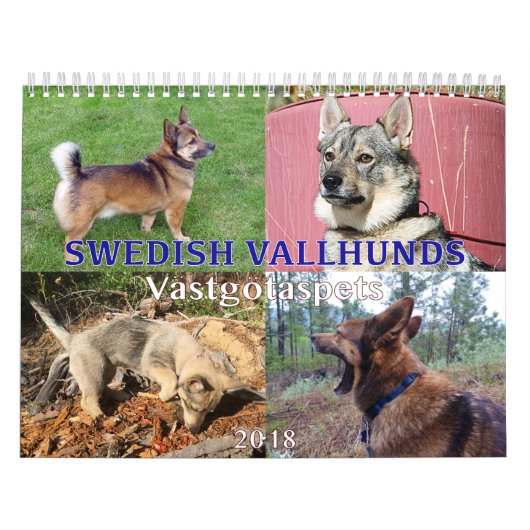 Calendrier Suédois Vallhund, Vastgotaspets, Callendar 2018 (Protection)