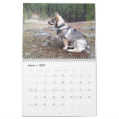 Calendrier Suédois Vallhund, Vastgotaspets, Callendar 2018 (Mar 2027)