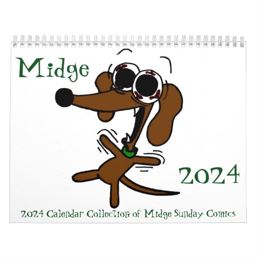 Calendrier "Sunday Comics" 2024 (Protection)