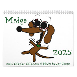 Calendrier "Sunday Comics" 2025