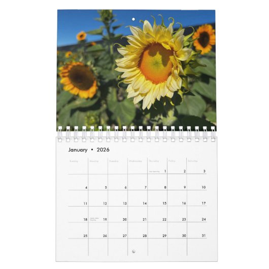 Calendrier Sunflowers (2nd edition) (Jan 2026)