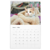 Calendrier Sunset Park Cats | 2026 Calendar | Kittens (Mar 2026)