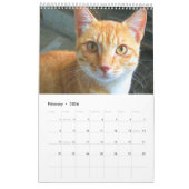 Calendrier Superbes chats orange 2023 (Feb 2026)