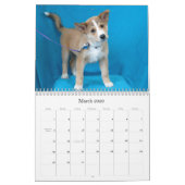 Calendrier sûr de la délivrance 2015 de mains (Mar 2026)