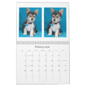 Calendrier sûr de la délivrance 2015 de mains (Feb 2026)