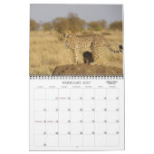 CALENDRIER SUR SAFARI EN AFRIQUE (Feb 2027)