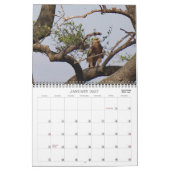 CALENDRIER SUR SAFARI EN AFRIQUE (Jan 2027)