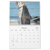 Calendrier surf Hawaii (Feb 2027)