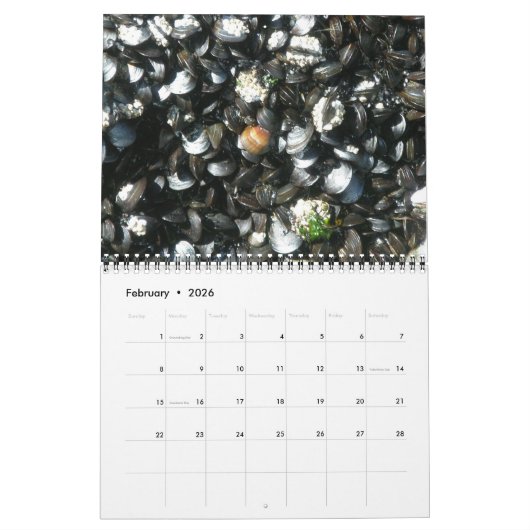 Calendrier - Surf 'n Turf (Feb 2026)