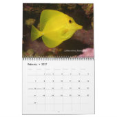 Calendrier Surgeonfish Wall Calendar de J.W. Patrie. (Feb 2027)