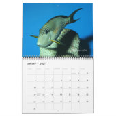 Calendrier Surgeonfish Wall Calendar de J.W. Patrie. (Jan 2027)