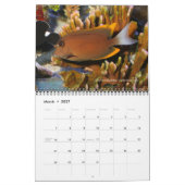 Calendrier Surgeonfish Wall Calendar de J.W. Patrie. (Mar 2027)