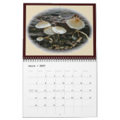 Calendrier - Surtout pour vous #2 (Mar 2027)