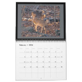 Calendrier - Surtout pour vous #2 (Feb 2026)