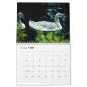 Calendrier Swan 2023 (Jan 2026)