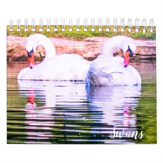 Calendrier Swan Calendar (Protection)