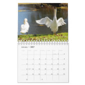 Calendrier Swan Calendar (Jan 2027)