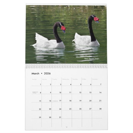 Calendrier Swans (Mar 2026)