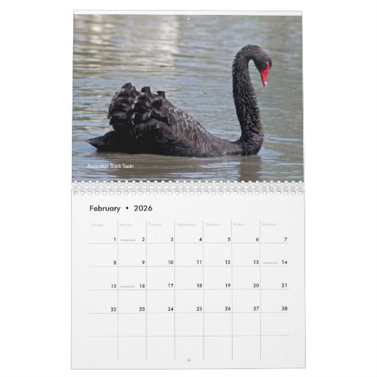 Calendrier Swans (Feb 2026)