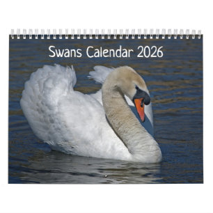 Calendrier Swans