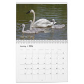 Calendrier Swans (Jan 2026)