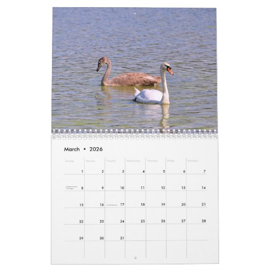 Calendrier Swans (Mar 2026)